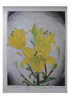 Drawing of yellow lilies with green buds on a gray shaded background.