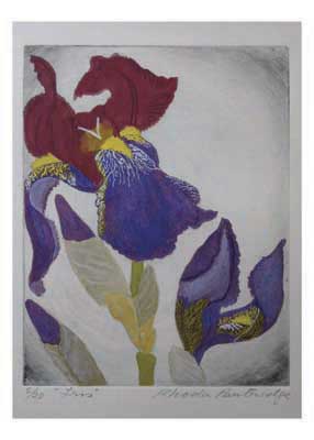 Colorful painting of an iris flower with red, purple, and yellow petals and green leaves on a gray background.