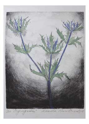 Illustration of three blue-thistle flowers with spiky green leaves on a gray background.