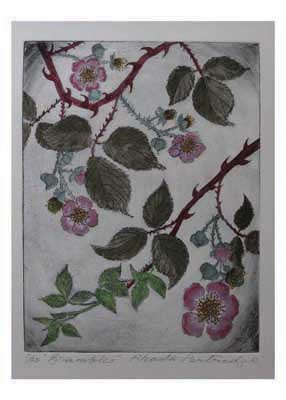 Artistic illustration of thorny branches with green leaves and pink flowers on a gray background.