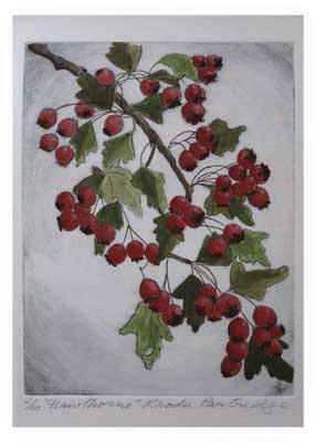 Illustration of a branch with clusters of red berries and green leaves on a gray background.