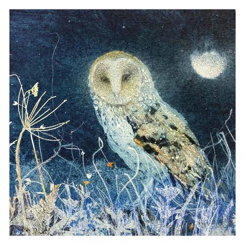 Stary Starry Night