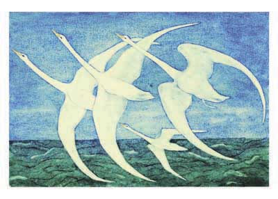 Illustration of five white birds with long necks flying over green water under a blue sky.