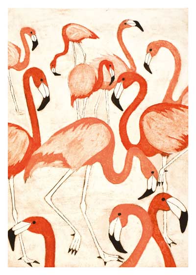 Illustration of a group of pink flamingos standing closely together on white background.
